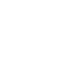 Noctilith Crown icon