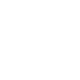 Razorwing Jetfighter icon