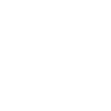 Avenger Strike Fighter icon