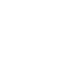 Lightning Fighter icon